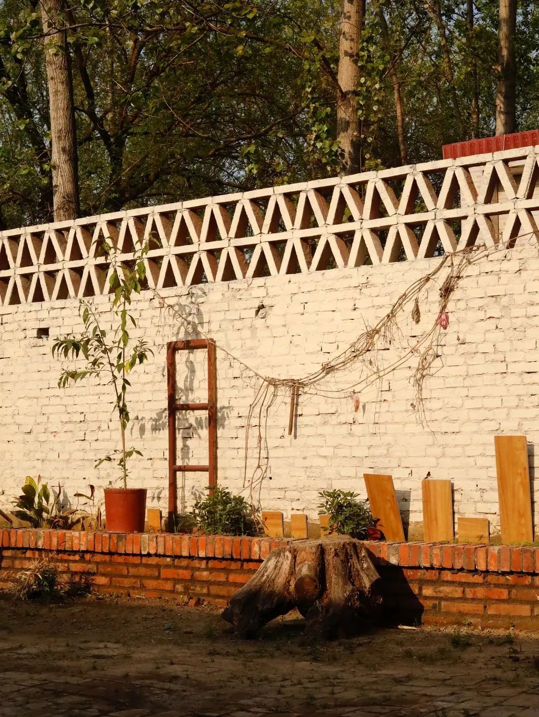 95后姐妹花5万爆改500㎡农村小院,美得网友直呼想回村休闲区蓝鸢梦想 - Www.slyday.coM 95后姐妹花5万爆改500㎡农村小院,美得网友直呼想回村休闲区蓝鸢梦想 - Www.slyday.coM