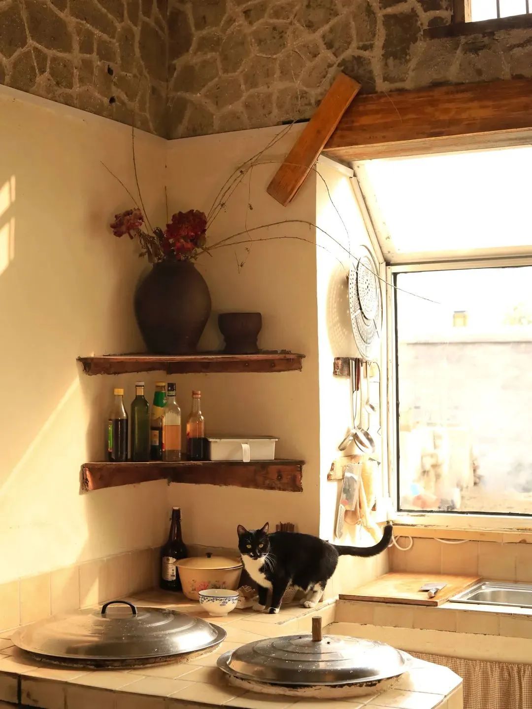 95后姐妹花5万爆改500㎡农村小院,美得网友直呼想回村休闲区蓝鸢梦想 - Www.slyday.coM 95后姐妹花5万爆改500㎡农村小院,美得网友直呼想回村休闲区蓝鸢梦想 - Www.slyday.coM