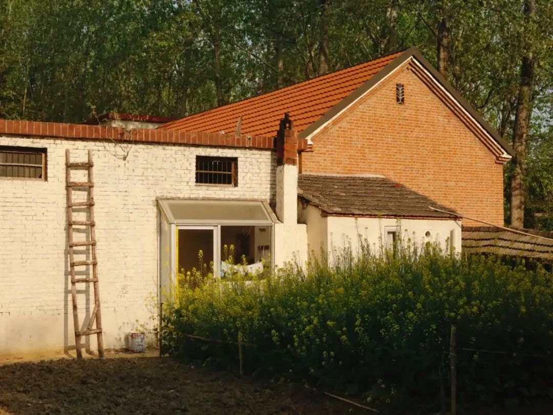 95后姐妹花5万爆改500㎡农村小院,美得网友直呼想回村休闲区蓝鸢梦想 - Www.slyday.coM 95后姐妹花5万爆改500㎡农村小院,美得网友直呼想回村休闲区蓝鸢梦想 - Www.slyday.coM