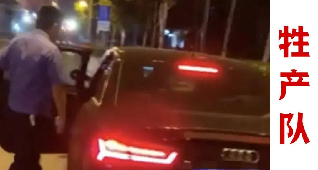 城管开奥迪A6执法,没收粽子合规吗?休闲区蓝鸢梦想 - Www.slyday.coM 城管开奥迪A6执法,没收粽子合规吗?休闲区蓝鸢梦想 - Www.slyday.coM