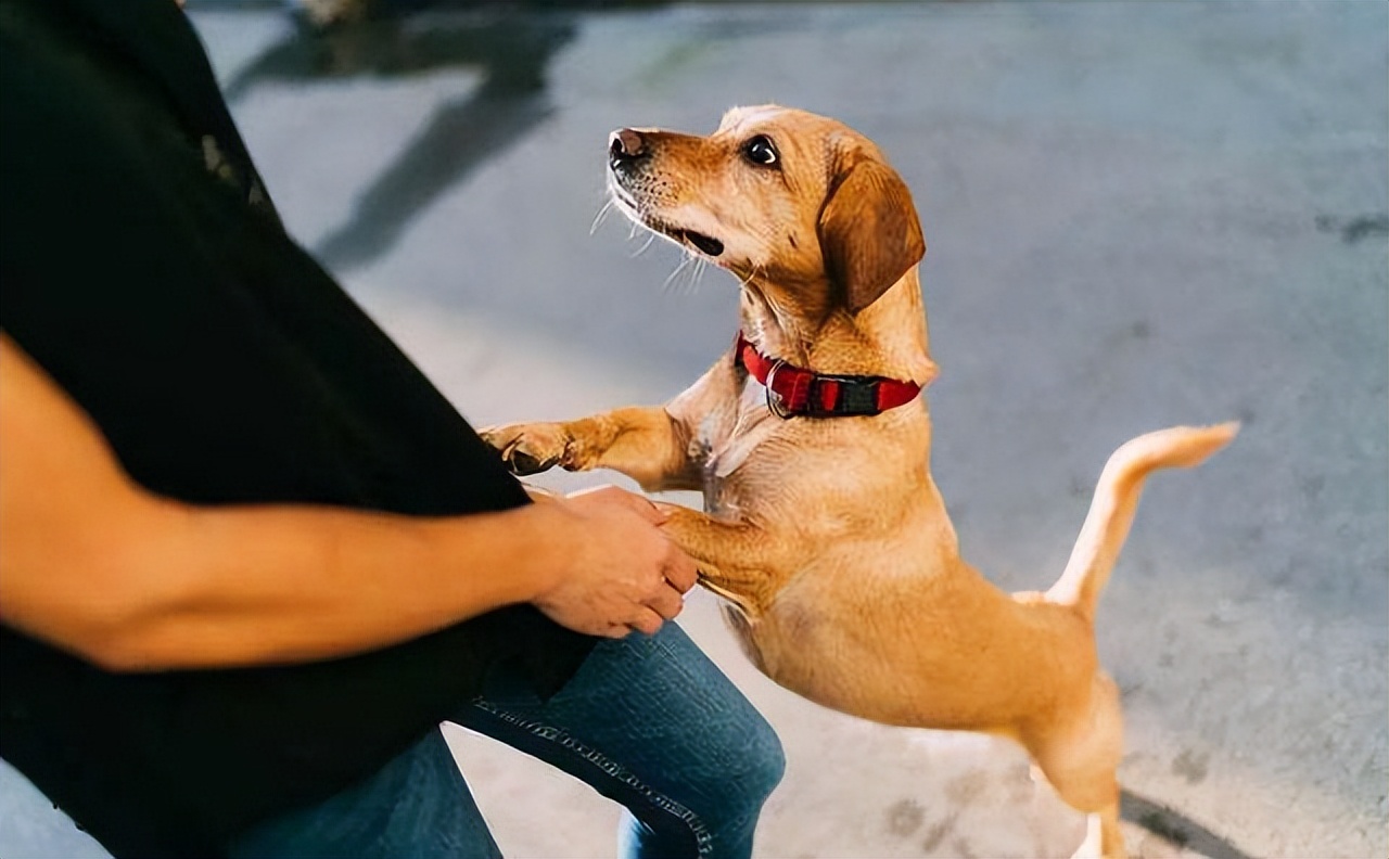 礼物不能伸手要,朋友圈不能逼着发,爱你的人永远知道怎么爱你...