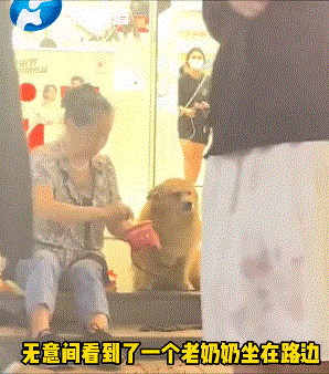 原来狗子失恋后也会难过(第981期)休闲区蓝鸢梦想 - Www.slyday.coM 原来狗子失恋后也会难过(第981期)休闲区蓝鸢梦想 - Www.slyday.coM