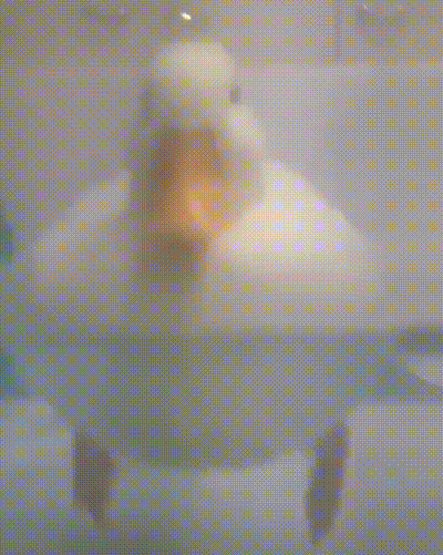 高考来大姨妈/生病/想上厕所怎么办?休闲区蓝鸢梦想 - Www.slyday.coM 高考来大姨妈/生病/想上厕所怎么办?休闲区蓝鸢梦想 - Www.slyday.coM