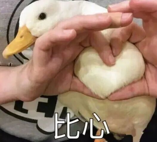 高考来大姨妈/生病/想上厕所怎么办?休闲区蓝鸢梦想 - Www.slyday.coM 高考来大姨妈/生病/想上厕所怎么办?休闲区蓝鸢梦想 - Www.slyday.coM