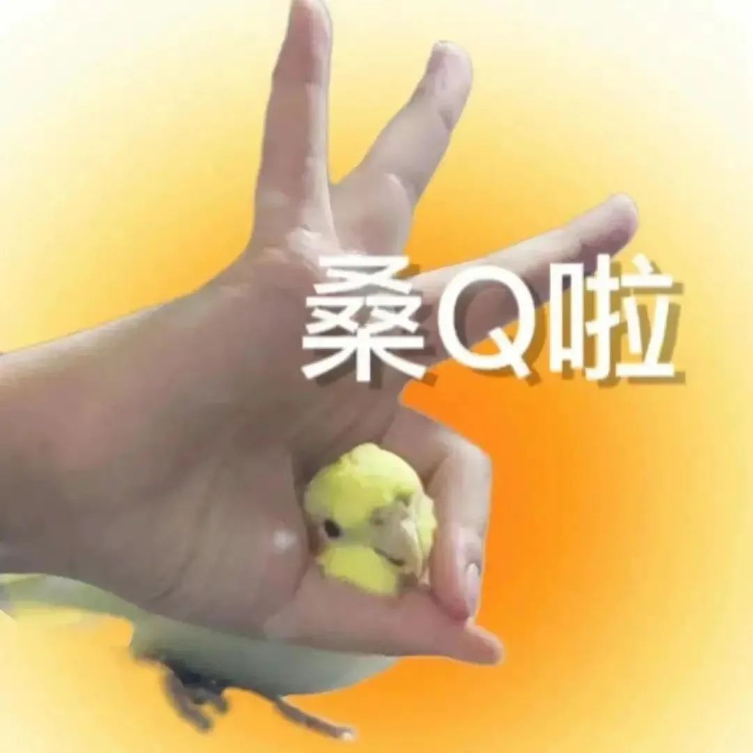 高考来大姨妈/生病/想上厕所怎么办?休闲区蓝鸢梦想 - Www.slyday.coM 高考来大姨妈/生病/想上厕所怎么办?休闲区蓝鸢梦想 - Www.slyday.coM