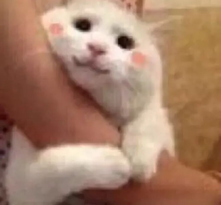 高考来大姨妈/生病/想上厕所怎么办?休闲区蓝鸢梦想 - Www.slyday.coM 高考来大姨妈/生病/想上厕所怎么办?休闲区蓝鸢梦想 - Www.slyday.coM