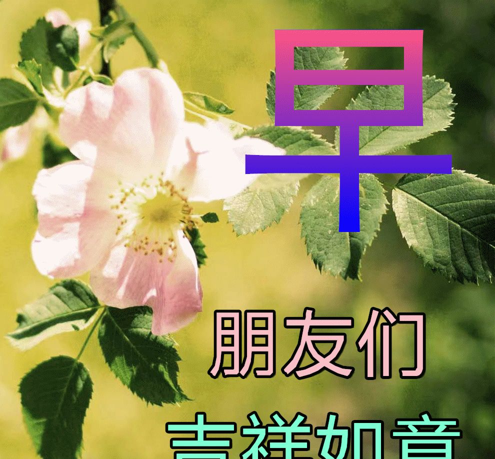 2022年6月7日清晨问候祝福语，日常早晨好问候美图