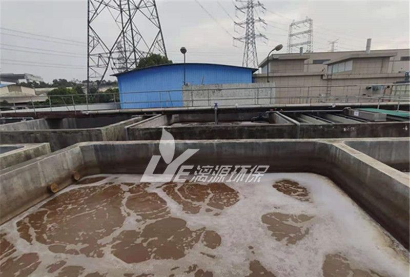 瑞典环保少女格蕾塔争议事件 日本核废水态度为何沉默