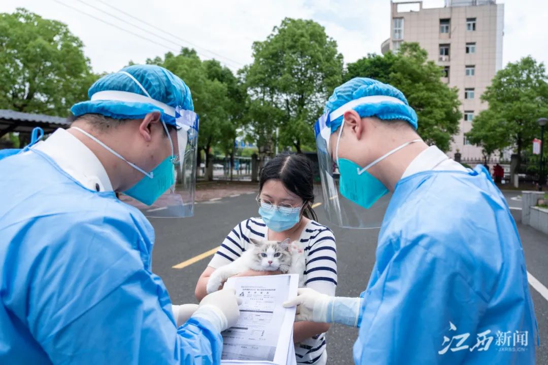 早安,地球村丨侮辱袁隆平院士,张某公开赔礼道歉休闲区蓝鸢梦想 - Www.slyday.coM 早安,地球村丨侮辱袁隆平院士,张某公开赔礼道歉休闲区蓝鸢梦想 - Www.slyday.coM