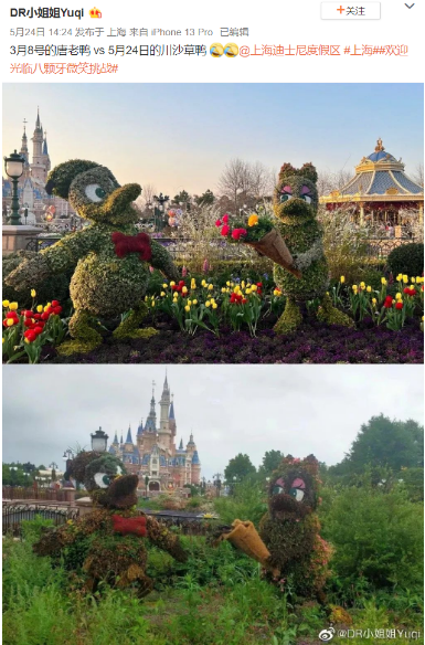 激动!上海迪士尼官宣:这些场所明日回归!又能买到玲娜贝儿了!休闲区蓝鸢梦想 - Www.slyday.coM 激动!上海迪士尼官宣:这些场所明日回归!又能买到玲娜贝儿了!休闲区蓝鸢梦想 - Www.slyday.coM