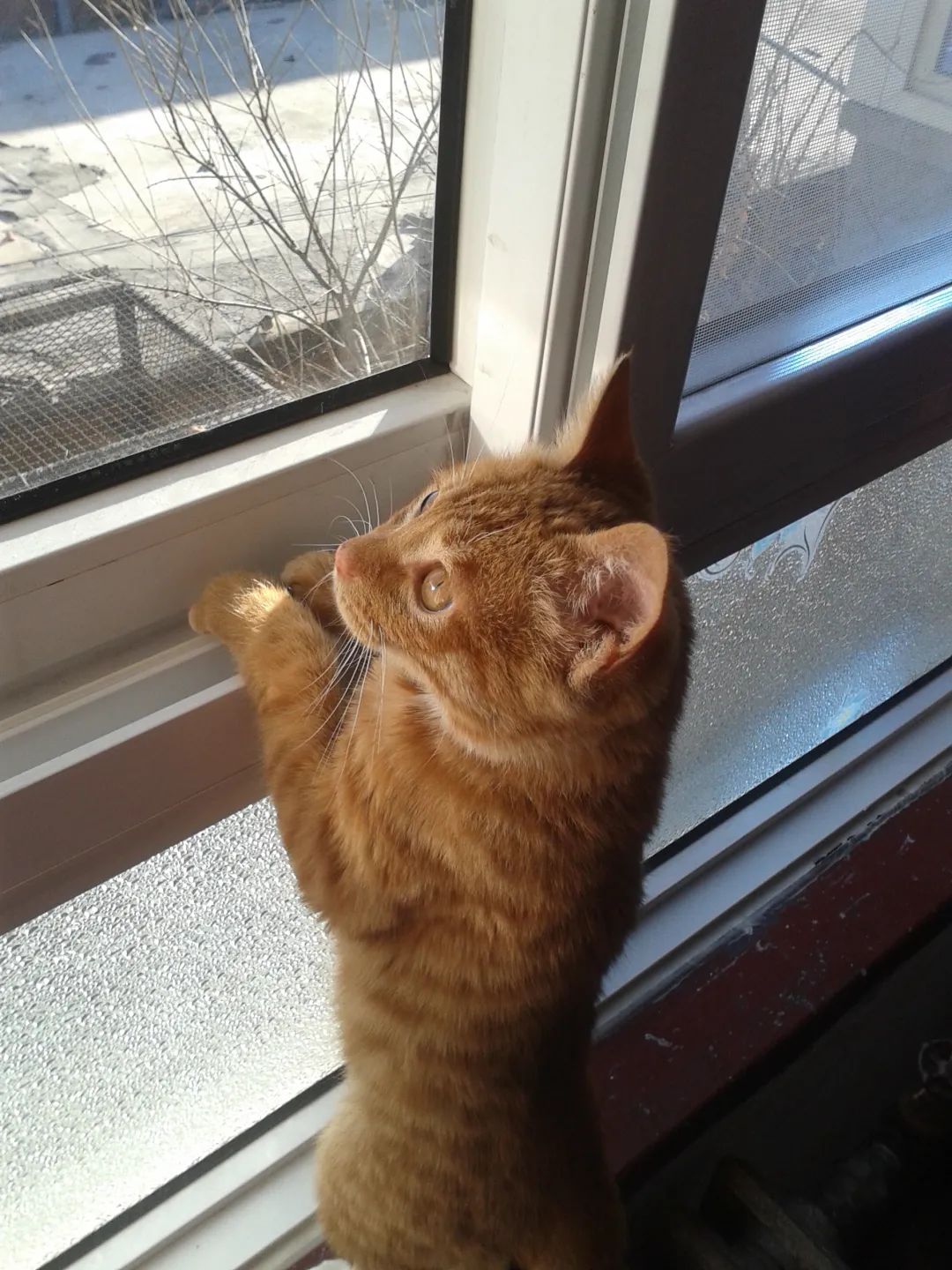 一个走出抑郁症的女孩:与原生家庭和解,辗转4个城市,相信明天会变好休闲区蓝鸢梦想 - Www.slyday.coM 一个走出抑郁症的女孩:与原生家庭和解,辗转4个城市,相信明天会变好休闲区蓝鸢梦想 - Www.slyday.coM