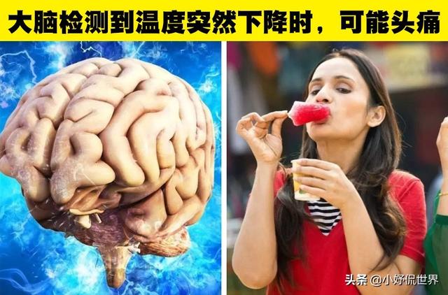 现代人的大脑比祖先更小关于人体的8个奇妙的冷知识