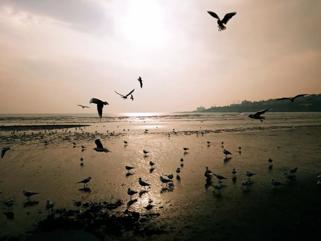 一个走出抑郁症的女孩:与原生家庭和解,辗转4个城市,相信明天会变好休闲区蓝鸢梦想 - Www.slyday.coM 一个走出抑郁症的女孩:与原生家庭和解,辗转4个城市,相信明天会变好休闲区蓝鸢梦想 - Www.slyday.coM