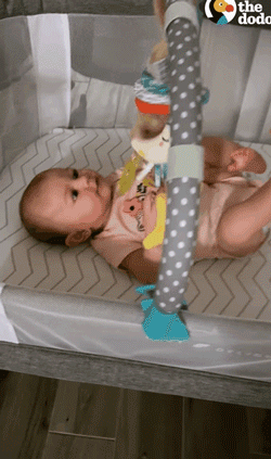 狗狗一开始很讨厌小主人,满脸写着嫌弃,可四个月后它居然主动偷亲...休闲区蓝鸢梦想 - Www.slyday.coM 狗狗一开始很讨厌小主人,满脸写着嫌弃,可四个月后它居然主动偷亲...休闲区蓝鸢梦想 - Www.slyday.coM