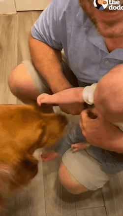 狗狗一开始很讨厌小主人,满脸写着嫌弃,可四个月后它居然主动偷亲...休闲区蓝鸢梦想 - Www.slyday.coM 狗狗一开始很讨厌小主人,满脸写着嫌弃,可四个月后它居然主动偷亲...休闲区蓝鸢梦想 - Www.slyday.coM