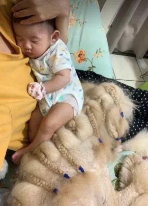 狗狗一开始很讨厌小主人,满脸写着嫌弃,可四个月后它居然主动偷亲...休闲区蓝鸢梦想 - Www.slyday.coM 狗狗一开始很讨厌小主人,满脸写着嫌弃,可四个月后它居然主动偷亲...休闲区蓝鸢梦想 - Www.slyday.coM