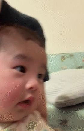 狗狗一开始很讨厌小主人,满脸写着嫌弃,可四个月后它居然主动偷亲...休闲区蓝鸢梦想 - Www.slyday.coM 狗狗一开始很讨厌小主人,满脸写着嫌弃,可四个月后它居然主动偷亲...休闲区蓝鸢梦想 - Www.slyday.coM