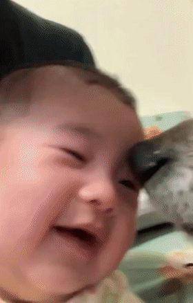 狗狗一开始很讨厌小主人,满脸写着嫌弃,可四个月后它居然主动偷亲...休闲区蓝鸢梦想 - Www.slyday.coM 狗狗一开始很讨厌小主人,满脸写着嫌弃,可四个月后它居然主动偷亲...休闲区蓝鸢梦想 - Www.slyday.coM