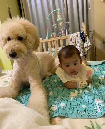 狗狗一开始很讨厌小主人,满脸写着嫌弃,可四个月后它居然主动偷亲...休闲区蓝鸢梦想 - Www.slyday.coM 狗狗一开始很讨厌小主人,满脸写着嫌弃,可四个月后它居然主动偷亲...休闲区蓝鸢梦想 - Www.slyday.coM