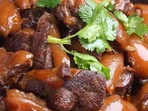 狗肉究竟该不该吃？韩国将讨论“禁食狗肉”...