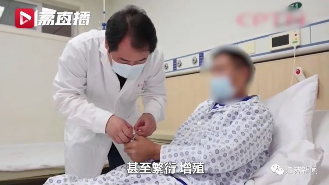 男子被狗咬伤手指,1个月后指骨竟被“吃空”!休闲区蓝鸢梦想 - Www.slyday.coM 男子被狗咬伤手指,1个月后指骨竟被“吃空”!休闲区蓝鸢梦想 - Www.slyday.coM