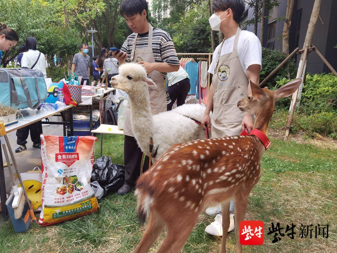 南京“异国风情”市集来了 为何越来越多年轻人爱上“赶集” ?休闲区蓝鸢梦想 - Www.slyday.coM 南京“异国风情”市集来了 为何越来越多年轻人爱上“赶集” ?休闲区蓝鸢梦想 - Www.slyday.coM
