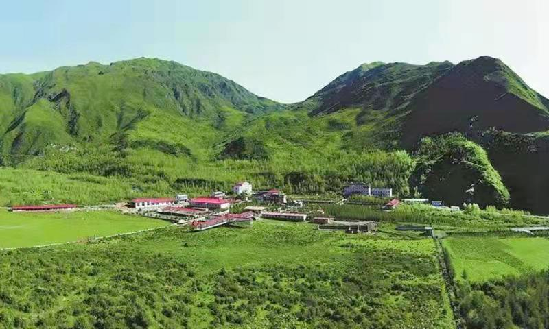 美丽临夏盛夏在临夏的美景包围圈里一泽芳香吧