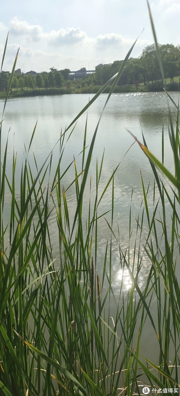 滴翠园/幼一公园,一个隐藏在闵行和徐汇之间的秘密园林/可以做核酸的地方/钓鱼风筝遛娃滑冰骑行好去处休闲区蓝鸢梦想 - Www.slyday.coM 滴翠园/幼一公园,一个隐藏在闵行和徐汇之间的秘密园林/可以做核酸的地方/钓鱼风筝遛娃滑冰骑行好去处休闲区蓝鸢梦想 - Www.slyday.coM