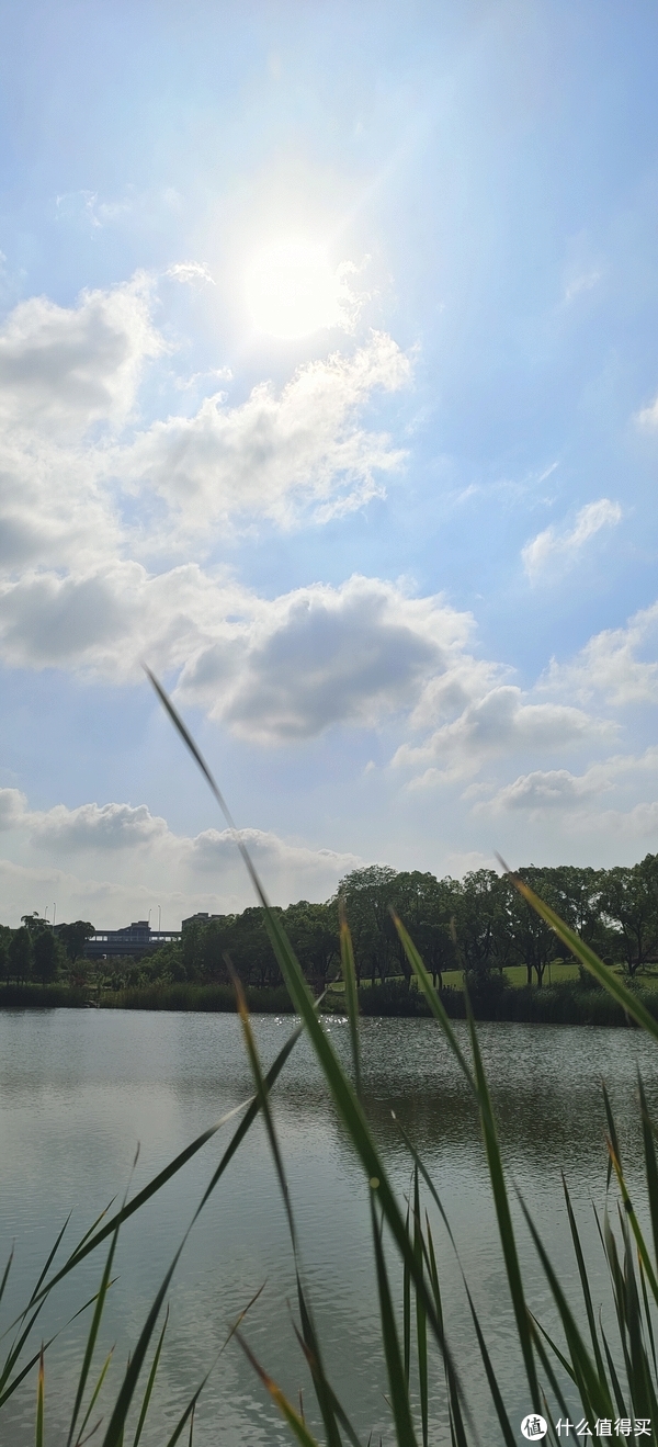 滴翠园/幼一公园,一个隐藏在闵行和徐汇之间的秘密园林/可以做核酸的地方/钓鱼风筝遛娃滑冰骑行好去处休闲区蓝鸢梦想 - Www.slyday.coM 滴翠园/幼一公园,一个隐藏在闵行和徐汇之间的秘密园林/可以做核酸的地方/钓鱼风筝遛娃滑冰骑行好去处休闲区蓝鸢梦想 - Www.slyday.coM