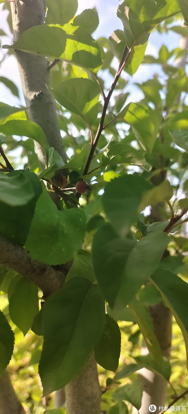 滴翠园/幼一公园,一个隐藏在闵行和徐汇之间的秘密园林/可以做核酸的地方/钓鱼风筝遛娃滑冰骑行好去处休闲区蓝鸢梦想 - Www.slyday.coM 滴翠园/幼一公园,一个隐藏在闵行和徐汇之间的秘密园林/可以做核酸的地方/钓鱼风筝遛娃滑冰骑行好去处休闲区蓝鸢梦想 - Www.slyday.coM