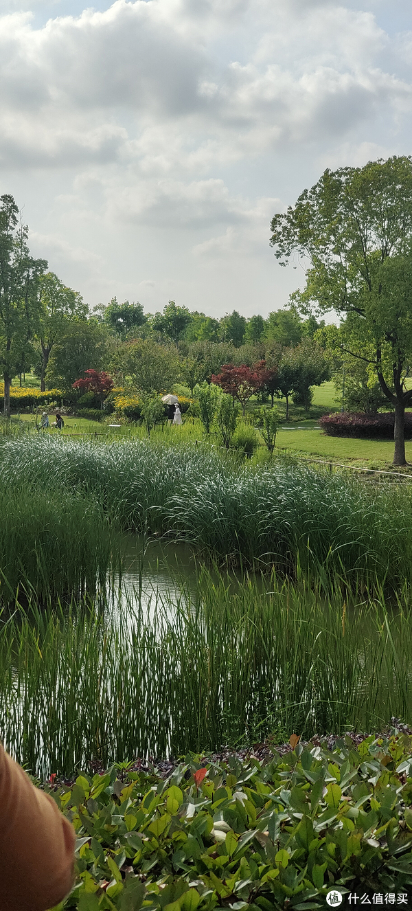 滴翠园/幼一公园,一个隐藏在闵行和徐汇之间的秘密园林/可以做核酸的地方/钓鱼风筝遛娃滑冰骑行好去处休闲区蓝鸢梦想 - Www.slyday.coM 滴翠园/幼一公园,一个隐藏在闵行和徐汇之间的秘密园林/可以做核酸的地方/钓鱼风筝遛娃滑冰骑行好去处休闲区蓝鸢梦想 - Www.slyday.coM