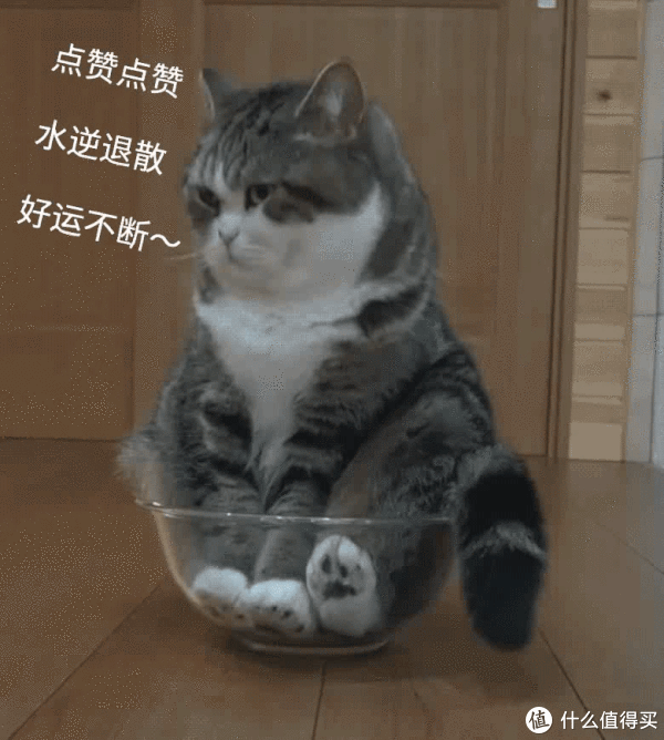 滴翠园/幼一公园,一个隐藏在闵行和徐汇之间的秘密园林/可以做核酸的地方/钓鱼风筝遛娃滑冰骑行好去处休闲区蓝鸢梦想 - Www.slyday.coM 滴翠园/幼一公园,一个隐藏在闵行和徐汇之间的秘密园林/可以做核酸的地方/钓鱼风筝遛娃滑冰骑行好去处休闲区蓝鸢梦想 - Www.slyday.coM