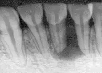 小家问医休闲区蓝鸢梦想 - Www.slyday.coM 小家问医休闲区蓝鸢梦想 - Www.slyday.coM