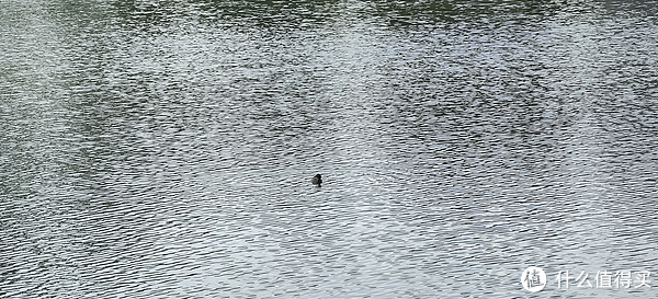 滴翠园/幼一公园,一个隐藏在闵行和徐汇之间的秘密园林/可以做核酸的地方/钓鱼风筝遛娃滑冰骑行好去处休闲区蓝鸢梦想 - Www.slyday.coM 滴翠园/幼一公园,一个隐藏在闵行和徐汇之间的秘密园林/可以做核酸的地方/钓鱼风筝遛娃滑冰骑行好去处休闲区蓝鸢梦想 - Www.slyday.coM