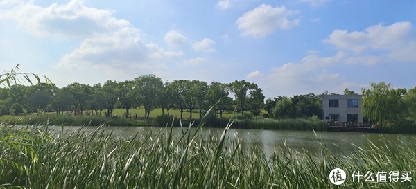 滴翠园/幼一公园,一个隐藏在闵行和徐汇之间的秘密园林/可以做核酸的地方/钓鱼风筝遛娃滑冰骑行好去处休闲区蓝鸢梦想 - Www.slyday.coM 滴翠园/幼一公园,一个隐藏在闵行和徐汇之间的秘密园林/可以做核酸的地方/钓鱼风筝遛娃滑冰骑行好去处休闲区蓝鸢梦想 - Www.slyday.coM