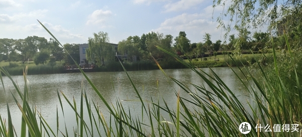 滴翠园/幼一公园,一个隐藏在闵行和徐汇之间的秘密园林/可以做核酸的地方/钓鱼风筝遛娃滑冰骑行好去处休闲区蓝鸢梦想 - Www.slyday.coM 滴翠园/幼一公园,一个隐藏在闵行和徐汇之间的秘密园林/可以做核酸的地方/钓鱼风筝遛娃滑冰骑行好去处休闲区蓝鸢梦想 - Www.slyday.coM