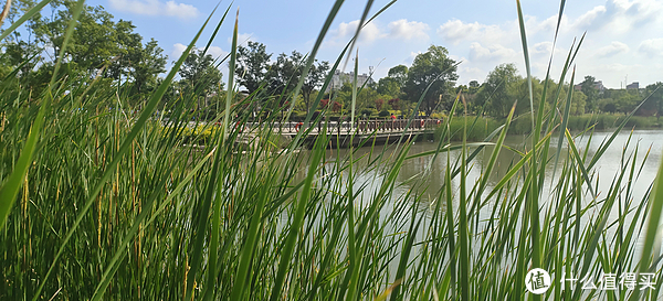 滴翠园/幼一公园,一个隐藏在闵行和徐汇之间的秘密园林/可以做核酸的地方/钓鱼风筝遛娃滑冰骑行好去处休闲区蓝鸢梦想 - Www.slyday.coM 滴翠园/幼一公园,一个隐藏在闵行和徐汇之间的秘密园林/可以做核酸的地方/钓鱼风筝遛娃滑冰骑行好去处休闲区蓝鸢梦想 - Www.slyday.coM