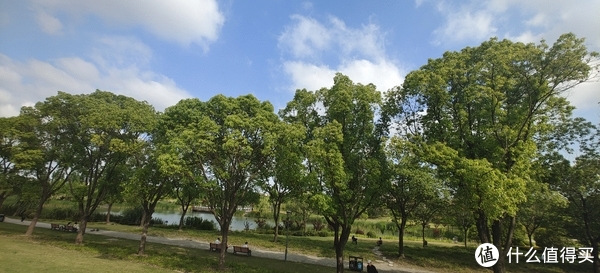 滴翠园/幼一公园,一个隐藏在闵行和徐汇之间的秘密园林/可以做核酸的地方/钓鱼风筝遛娃滑冰骑行好去处休闲区蓝鸢梦想 - Www.slyday.coM 滴翠园/幼一公园,一个隐藏在闵行和徐汇之间的秘密园林/可以做核酸的地方/钓鱼风筝遛娃滑冰骑行好去处休闲区蓝鸢梦想 - Www.slyday.coM