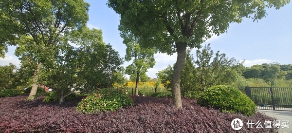 滴翠园/幼一公园,一个隐藏在闵行和徐汇之间的秘密园林/可以做核酸的地方/钓鱼风筝遛娃滑冰骑行好去处休闲区蓝鸢梦想 - Www.slyday.coM 滴翠园/幼一公园,一个隐藏在闵行和徐汇之间的秘密园林/可以做核酸的地方/钓鱼风筝遛娃滑冰骑行好去处休闲区蓝鸢梦想 - Www.slyday.coM