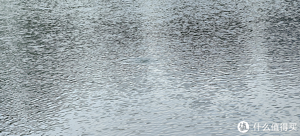 滴翠园/幼一公园,一个隐藏在闵行和徐汇之间的秘密园林/可以做核酸的地方/钓鱼风筝遛娃滑冰骑行好去处休闲区蓝鸢梦想 - Www.slyday.coM 滴翠园/幼一公园,一个隐藏在闵行和徐汇之间的秘密园林/可以做核酸的地方/钓鱼风筝遛娃滑冰骑行好去处休闲区蓝鸢梦想 - Www.slyday.coM