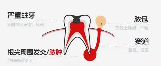 小家问医休闲区蓝鸢梦想 - Www.slyday.coM 小家问医休闲区蓝鸢梦想 - Www.slyday.coM
