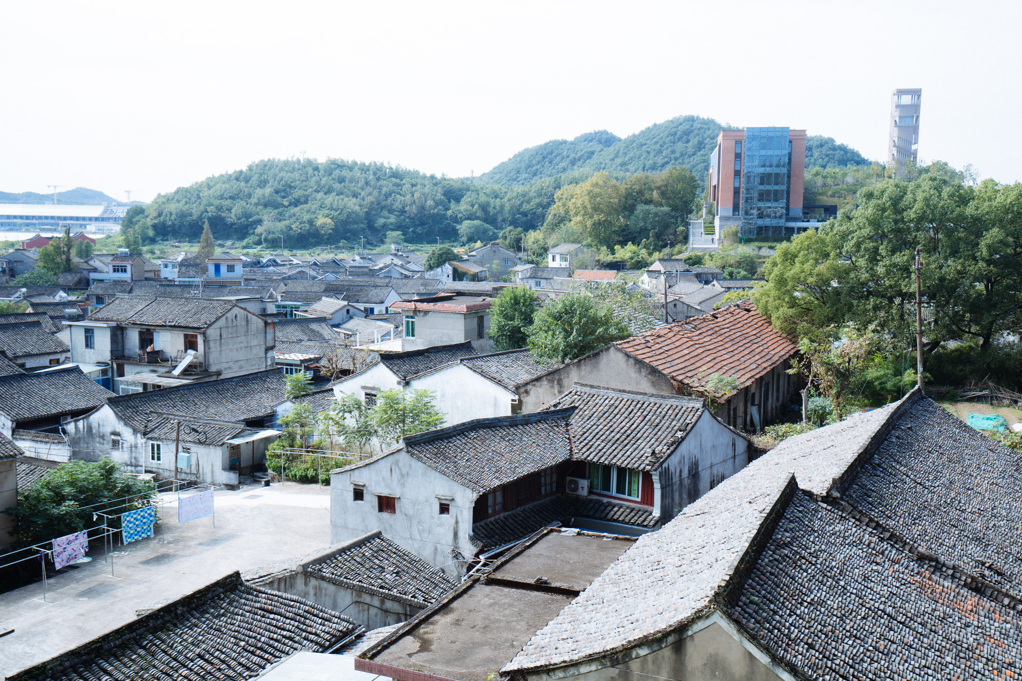 经调查发现：厦门有什么值得逛的小巷子？探寻隐藏的文艺角落与地道生活气息