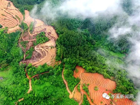 岑溪大学附近卖东西的地方怎么找？了解岑溪及梧州的学校分布和更多实用信息！