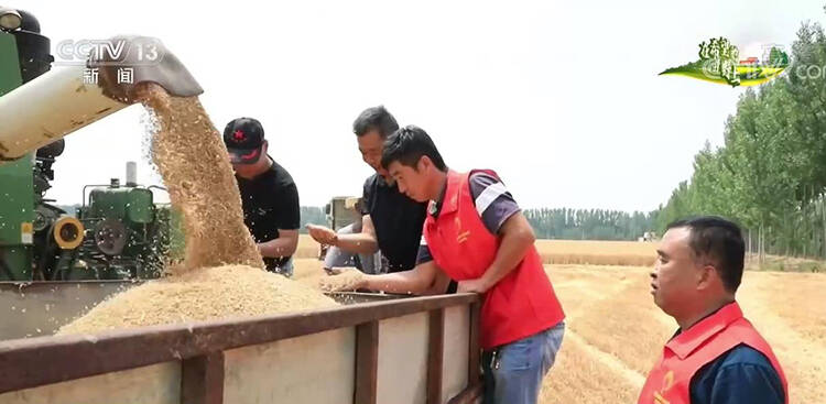 央视【朝闻天下】聚焦宁津:一张“思维导图” 确保小麦颗粒归仓休闲区蓝鸢梦想 - Www.slyday.coM 央视【朝闻天下】聚焦宁津:一张“思维导图” 确保小麦颗粒归仓休闲区蓝鸢梦想 - Www.slyday.coM