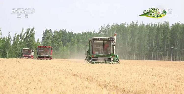 央视【朝闻天下】聚焦宁津:一张“思维导图” 确保小麦颗粒归仓休闲区蓝鸢梦想 - Www.slyday.coM 央视【朝闻天下】聚焦宁津:一张“思维导图” 确保小麦颗粒归仓休闲区蓝鸢梦想 - Www.slyday.coM