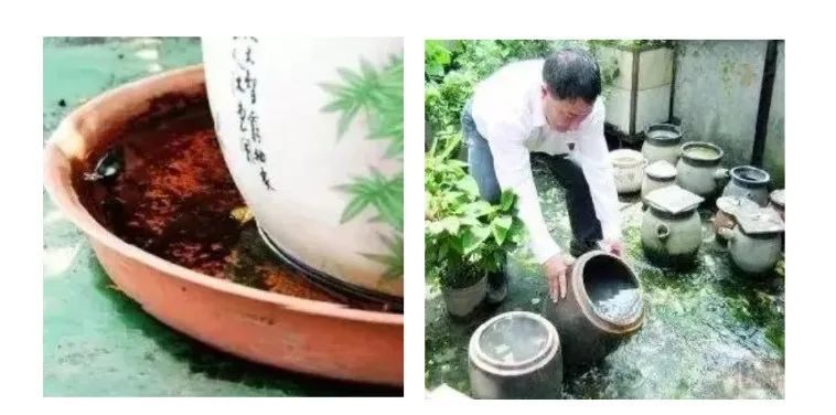 佛山6岁孩子患上肝吸虫病,元凶竟是家中的……休闲区蓝鸢梦想 - Www.slyday.coM 佛山6岁孩子患上肝吸虫病,元凶竟是家中的……休闲区蓝鸢梦想 - Www.slyday.coM