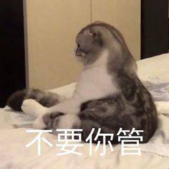 谷歌AI独立人格觉醒,聊天记录把我吓坏了…休闲区蓝鸢梦想 - Www.slyday.coM 谷歌AI独立人格觉醒,聊天记录把我吓坏了…休闲区蓝鸢梦想 - Www.slyday.coM