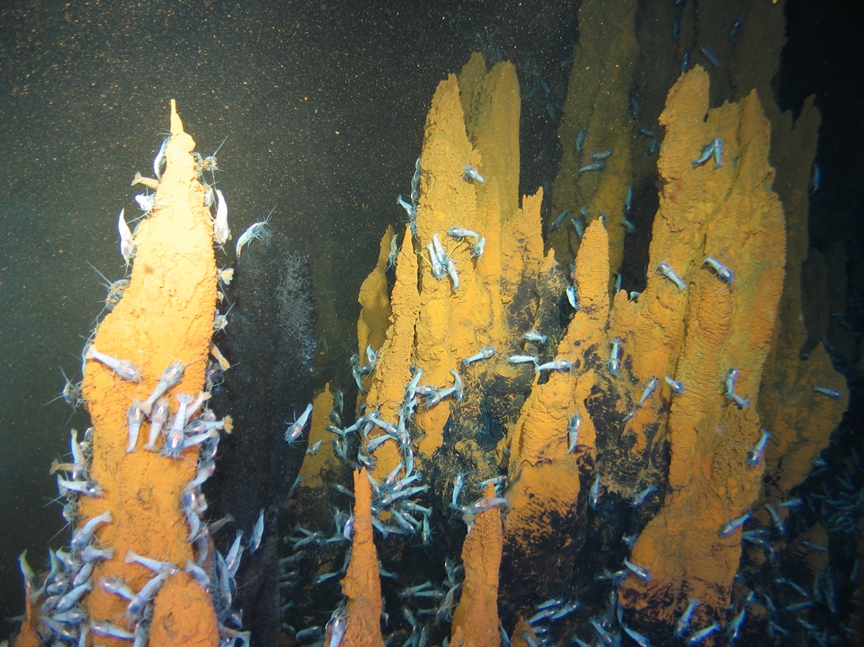 现在,全世界40多人去过深海一万米,其中27位是中国人休闲区蓝鸢梦想 - Www.slyday.coM 现在,全世界40多人去过深海一万米,其中27位是中国人休闲区蓝鸢梦想 - Www.slyday.coM