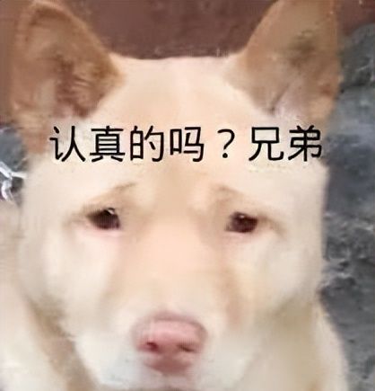 老外的“小爱同学”,把网友都吓坏了休闲区蓝鸢梦想 - Www.slyday.coM 老外的“小爱同学”,把网友都吓坏了休闲区蓝鸢梦想 - Www.slyday.coM