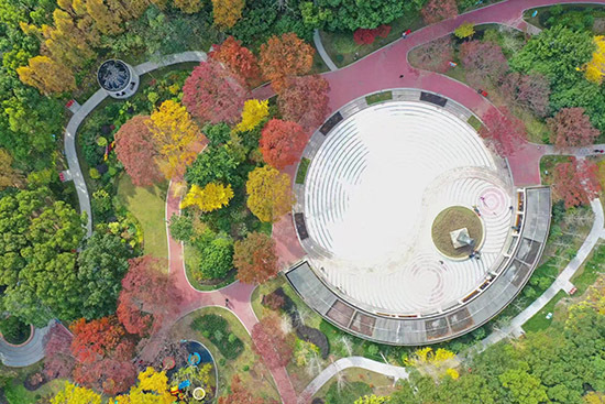 森林覆盖率14.73%,金山区全面推行林长制休闲区蓝鸢梦想 - Www.slyday.coM 森林覆盖率14.73%,金山区全面推行林长制休闲区蓝鸢梦想 - Www.slyday.coM